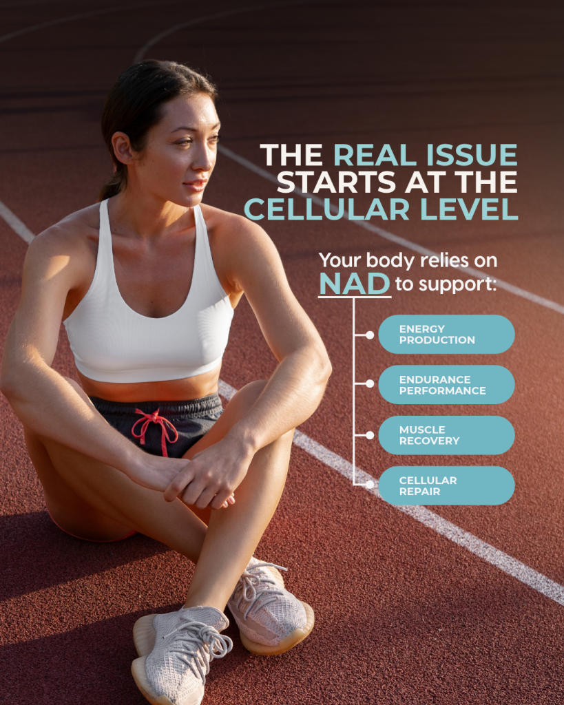NAD for Muscle Recovery